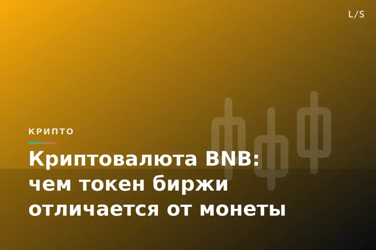 Криптовалюта BNB: чем токен биржи отличается от монеты